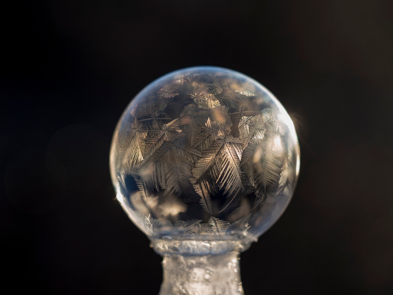 Sleep Science - Unraveling the Mystery with Philosophy